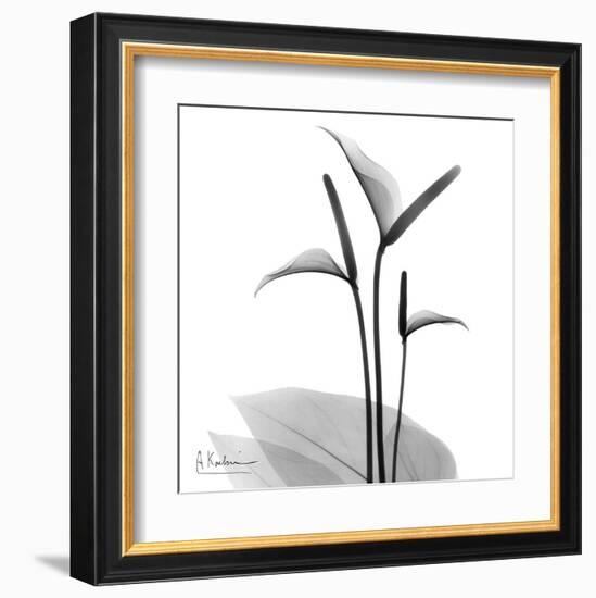 Flamingo Plant Black and White-Albert Koetsier-Framed Art Print