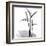 Flamingo Plant Black and White-Albert Koetsier-Framed Art Print