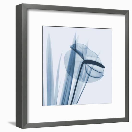 Flamingo Plant in Blue-Albert Koetsier-Framed Art Print