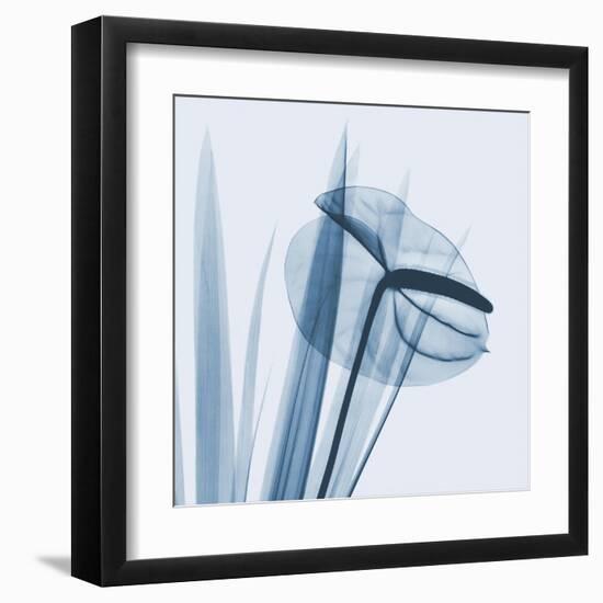 Flamingo Plant in Blue-Albert Koetsier-Framed Art Print