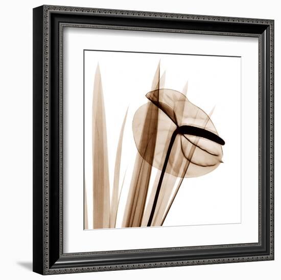 Flamingo Plant in Sienna-Albert Koetsier-Framed Art Print