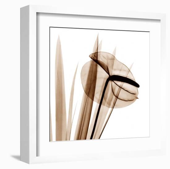 Flamingo Plant in Sienna-Albert Koetsier-Framed Art Print