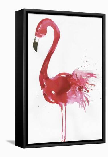 Flamingo Portrait I-Aimee Wilson-Framed Stretched Canvas