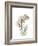 Flamingo Portrait-Albert Koetsier-Framed Premium Giclee Print