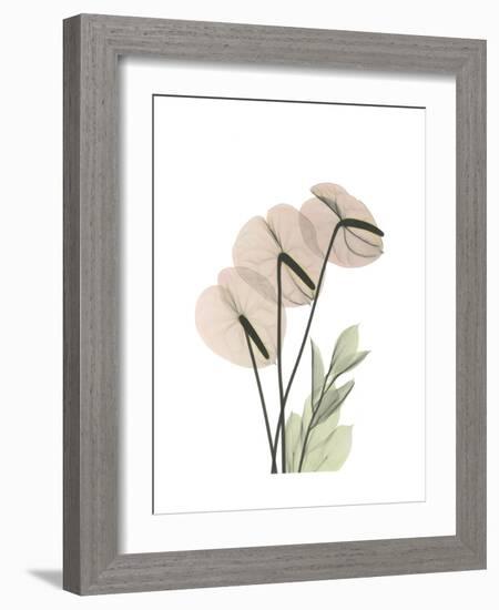 Flamingo Portrait-Albert Koetsier-Framed Premium Giclee Print