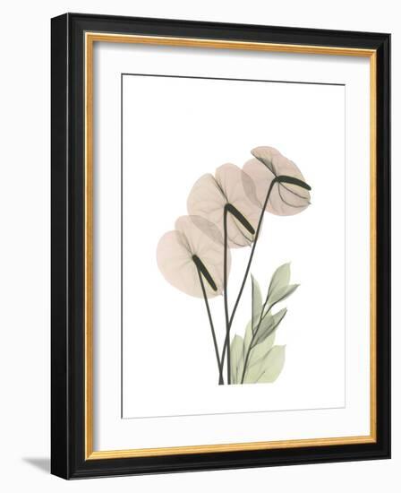 Flamingo Portrait-Albert Koetsier-Framed Premium Giclee Print