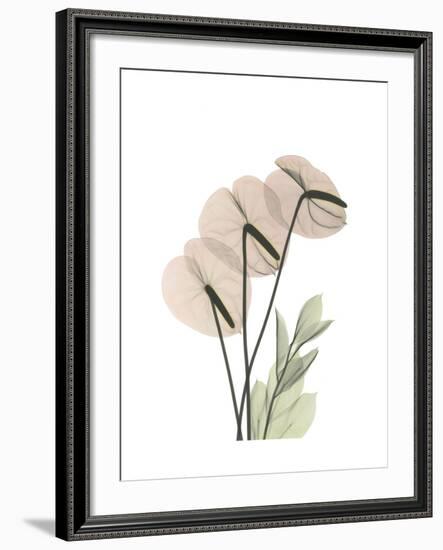 Flamingo Portrait-Albert Koetsier-Framed Premium Giclee Print