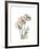 Flamingo Portrait-Albert Koetsier-Framed Premium Giclee Print