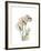 Flamingo Portrait-Albert Koetsier-Framed Premium Giclee Print