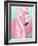 Flamingo Portrait-Elizabeth Medley-Framed Art Print