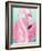 Flamingo Portrait-Elizabeth Medley-Framed Art Print