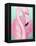 Flamingo Portrait-Elizabeth Medley-Framed Stretched Canvas