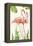 Flamingo Stroll 1-Mary Escobedo-Framed Stretched Canvas