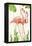 Flamingo Stroll 1-Mary Escobedo-Framed Stretched Canvas