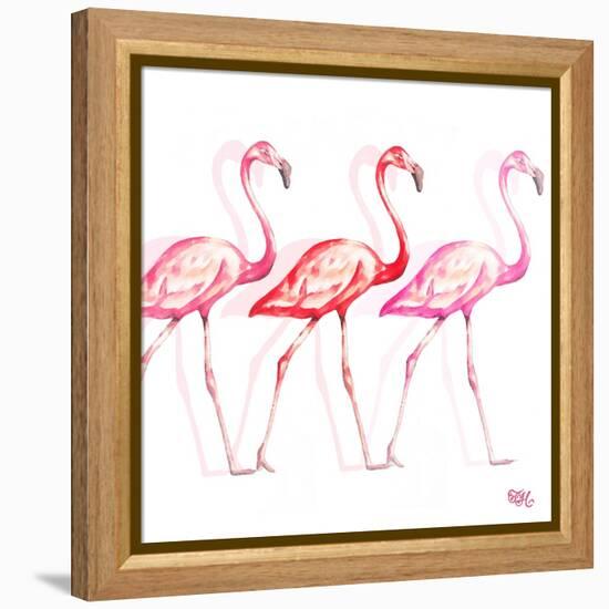 Flamingo Trio I-Tiffany Hakimipour-Framed Stretched Canvas