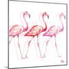 Flamingo Trio I-Tiffany Hakimipour-Mounted Art Print