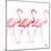 Flamingo Trio I-Tiffany Hakimipour-Mounted Art Print