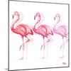 Flamingo Trio II-Tiffany Hakimipour-Mounted Art Print