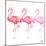 Flamingo Trio II-Tiffany Hakimipour-Mounted Art Print