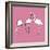 Flamingo Trio-Sandra Jacobs-Framed Giclee Print