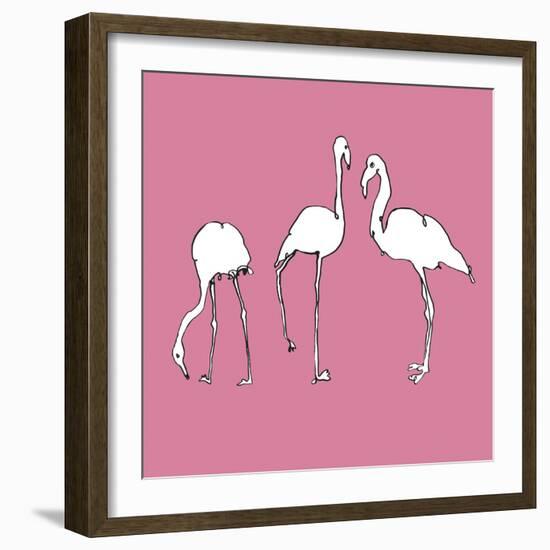 Flamingo Trio-Sandra Jacobs-Framed Giclee Print