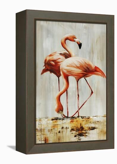 Flamingo V-Sydney Edmunds-Framed Premier Image Canvas