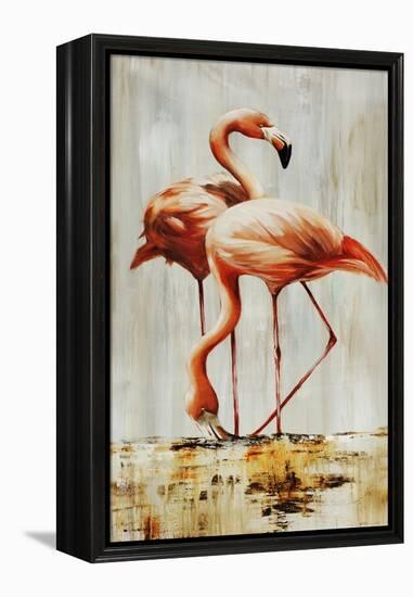 Flamingo V-Sydney Edmunds-Framed Premier Image Canvas