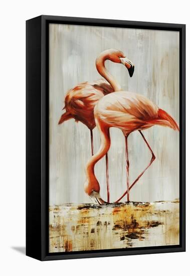 Flamingo V-Sydney Edmunds-Framed Premier Image Canvas