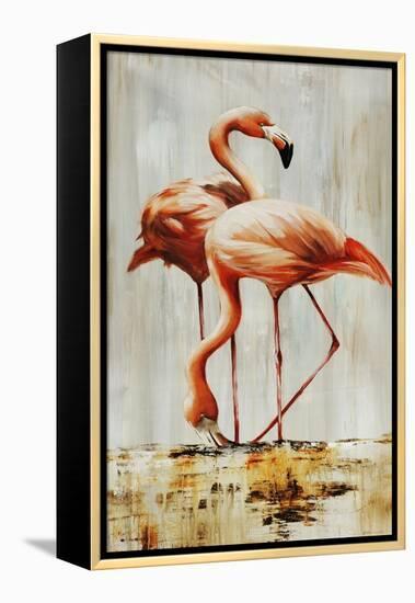 Flamingo V-Sydney Edmunds-Framed Premier Image Canvas