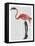 Flamingo with Kinky Boots-Fab Funky-Framed Stretched Canvas