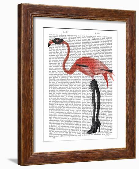 Flamingo with Kinky Boots-Fab Funky-Framed Art Print