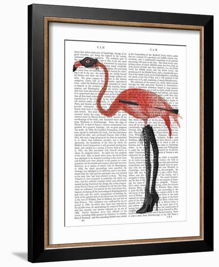 Flamingo with Kinky Boots-Fab Funky-Framed Art Print