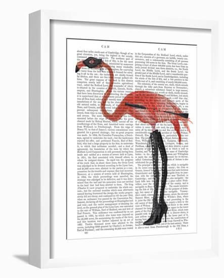 Flamingo with Kinky Boots-Fab Funky-Framed Art Print