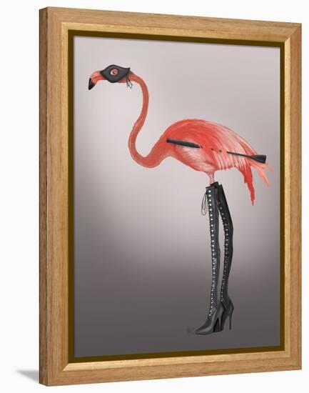 Flamingo with Kinky Boots-Fab Funky-Framed Stretched Canvas