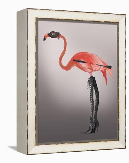 Flamingo with Kinky Boots-Fab Funky-Framed Stretched Canvas