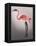 Flamingo with Kinky Boots-Fab Funky-Framed Stretched Canvas