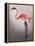 Flamingo with Kinky Boots-Fab Funky-Framed Stretched Canvas