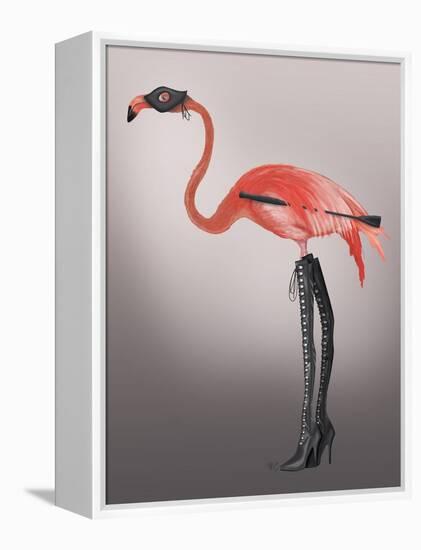 Flamingo with Kinky Boots-Fab Funky-Framed Stretched Canvas