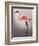 Flamingo with Kinky Boots-Fab Funky-Framed Premium Giclee Print