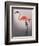 Flamingo with Kinky Boots-Fab Funky-Framed Premium Giclee Print