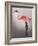 Flamingo with Kinky Boots-Fab Funky-Framed Art Print