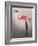 Flamingo with Kinky Boots-Fab Funky-Framed Art Print