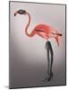 Flamingo with Kinky Boots-Fab Funky-Mounted Art Print