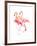 Flamingo-Suren Nersisyan-Framed Art Print