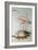 Flamingo-Edward Lear-Framed Giclee Print