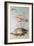 Flamingo-Edward Lear-Framed Giclee Print