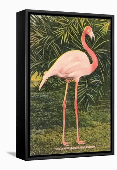 Flamingo-null-Framed Stretched Canvas