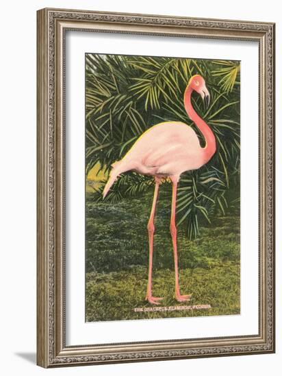 Flamingo-null-Framed Art Print