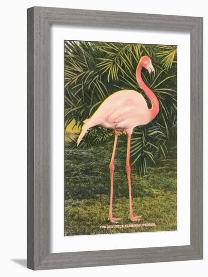 Flamingo-null-Framed Art Print