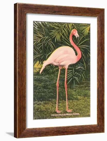 Flamingo-null-Framed Art Print